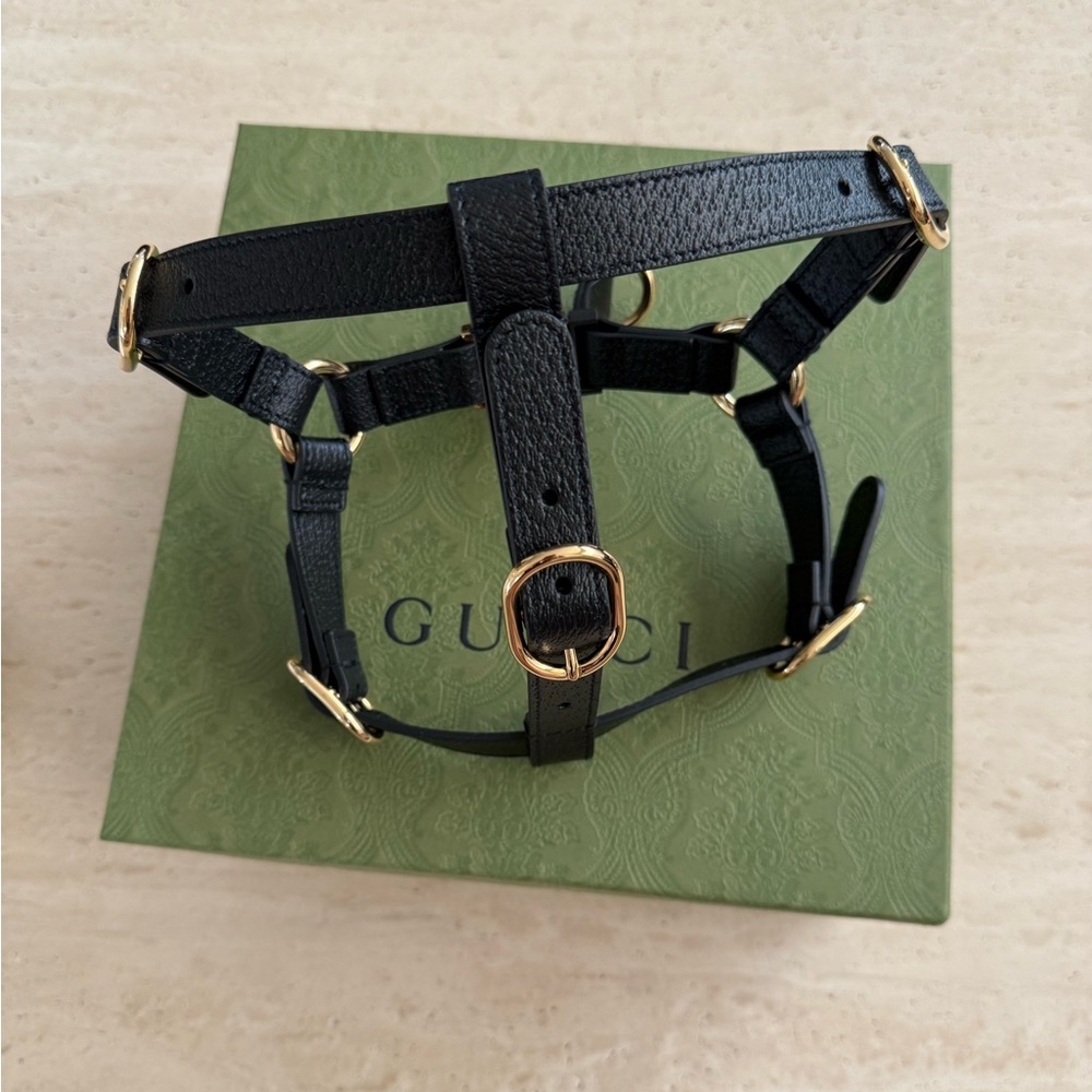 NWB Gucci GG Logo Black Leather Pet - Dog Harness with Gold Buckles Size M
